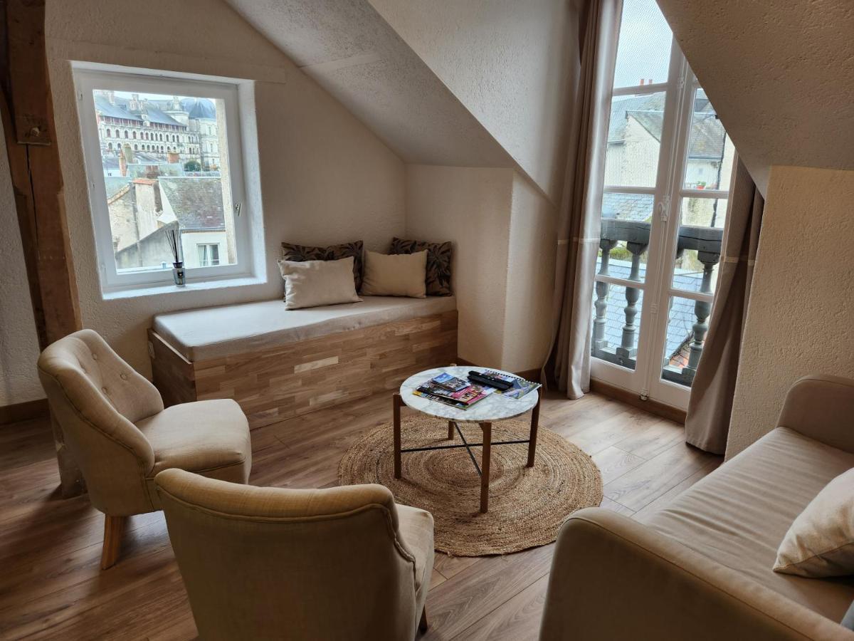 Vue Chateau * Blois